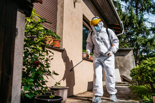Best Pest Removal Services  in Paw Paw Lake, MI