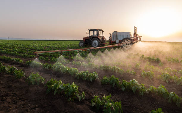 Best Ant Control Services  in Paw Paw Lake, MI