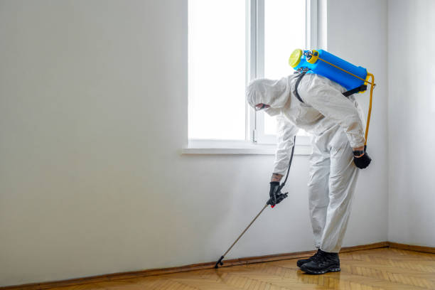 Pest Control Cost in Paw Paw Lake, MI