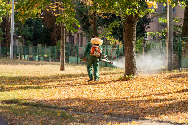 Best Emergency Pest Control  in Paw Paw Lake, MI