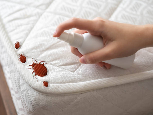 Best Exterminator Services  in Paw Paw Lake, MI